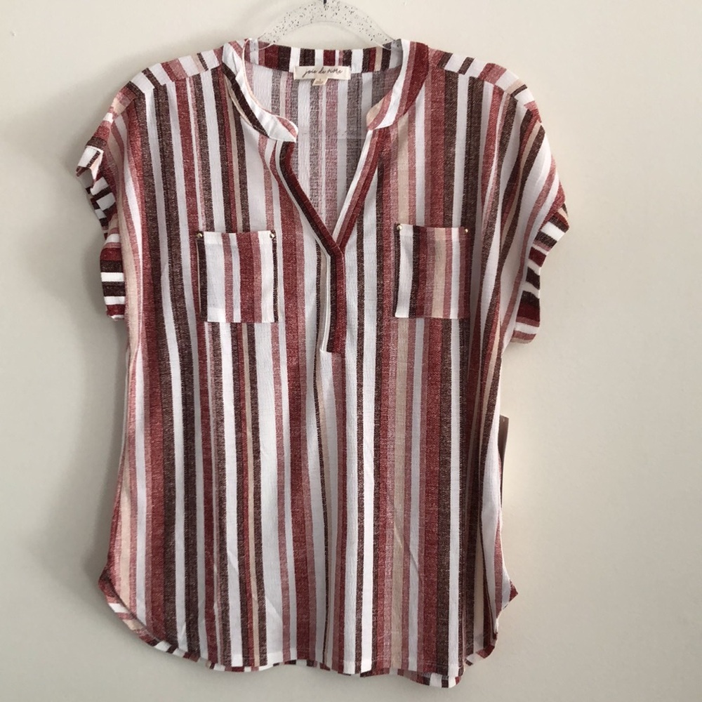 Striped Short-Sleeve V-Neck Blouse in Burgundy and White - Picture 11 of 11